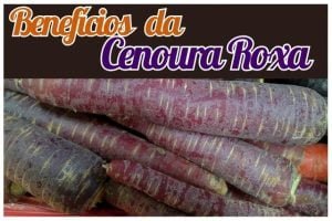 Beneficios da Cenoura Roxa