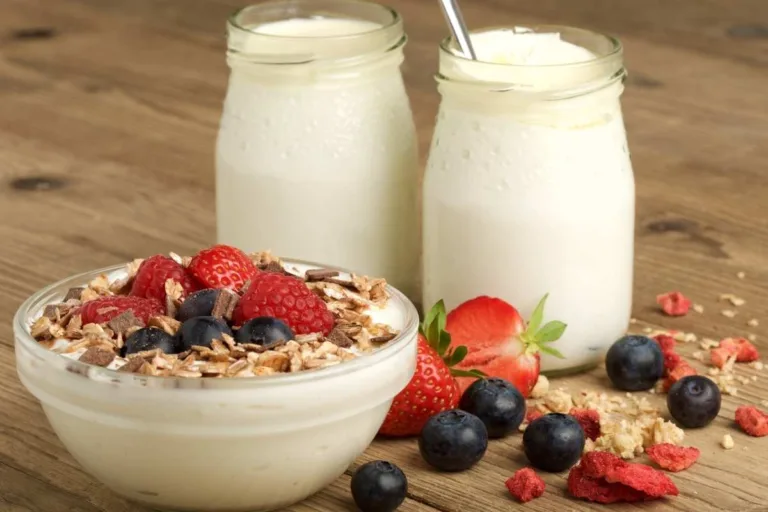 iogurte zero lactose