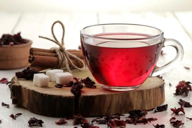 chá de hibisco com canela em uma xícara com diversas especiarias ao redor.