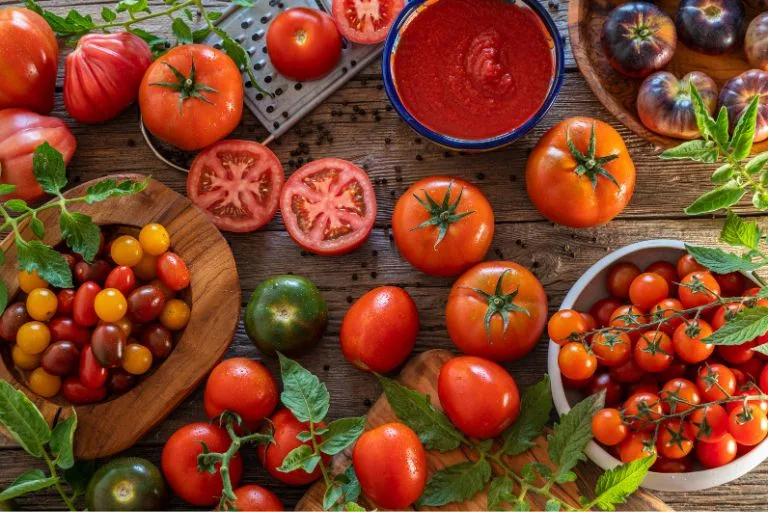 Tomates: Proteção Natural Contra o Sol